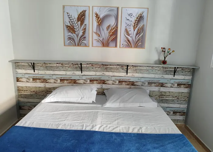 Alpha Hospedaria & Hostel